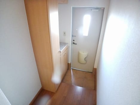 Naikan11 20260218000000