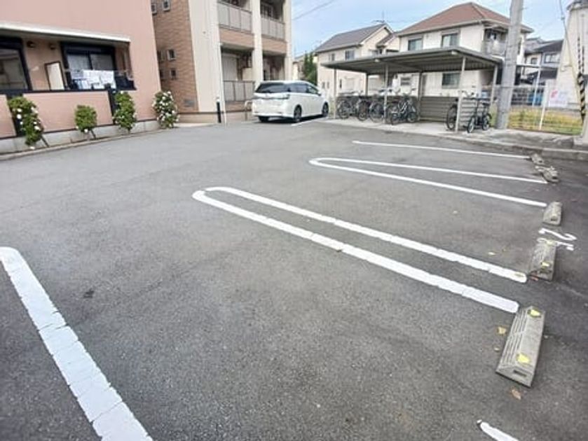Naikan11 20251201000000 945x630