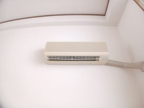 Naikan8 20250402000000