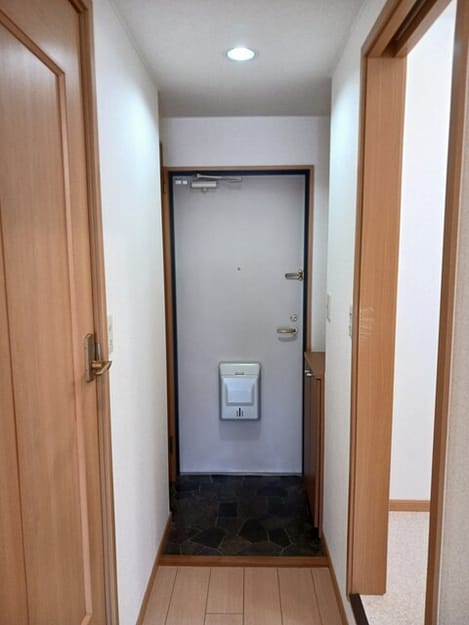 Naikan7 20260324000000