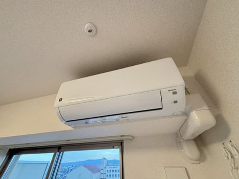 Naikan8 20261016000000 945x630