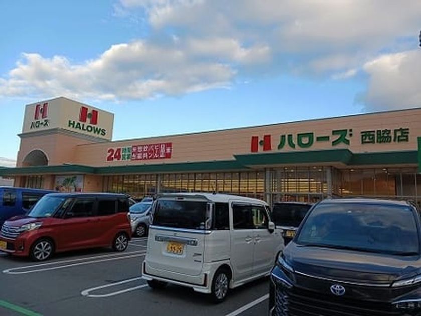 Naikan15 20241217000000 945x630