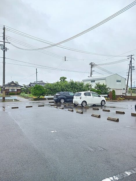 Naikan11 20260602000000