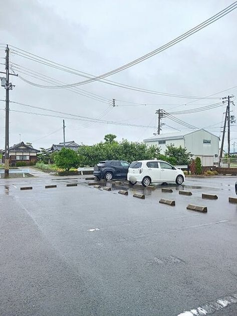 Naikan11 20260602000000 945x630