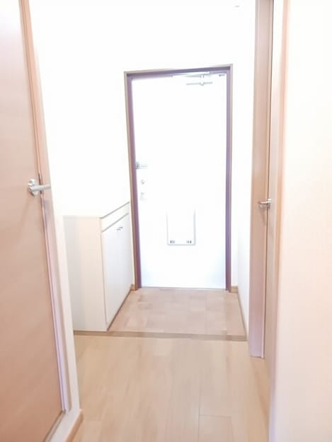 Naikan9 20260826000000