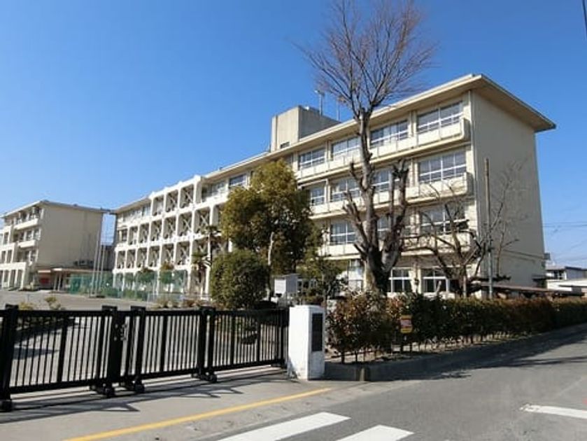 Naikan13 20210309000000 945x630