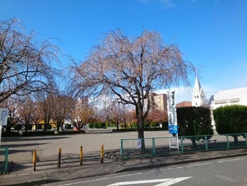Naikan13 20210106000000 945x630