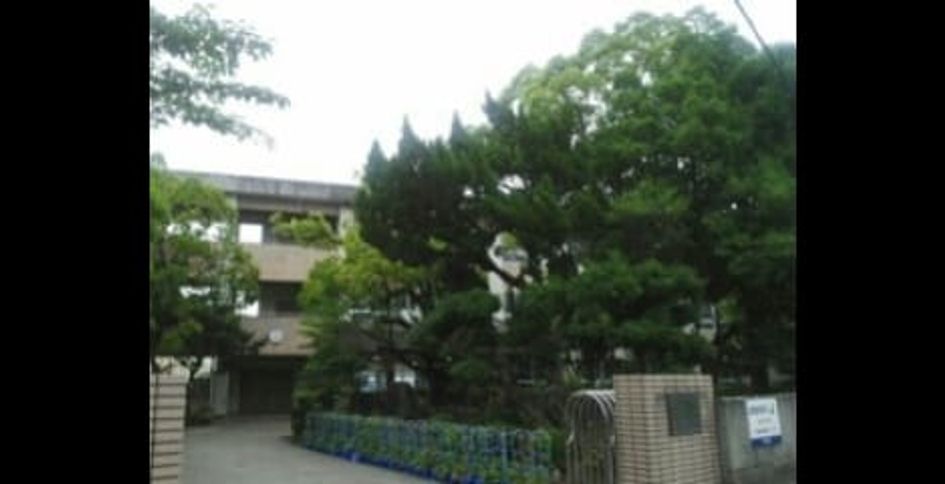 Naikan14 20250708000000 945x630