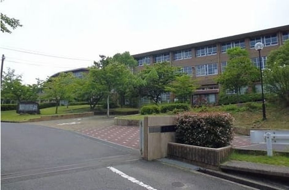 Naikan17 20230310000000 945x630