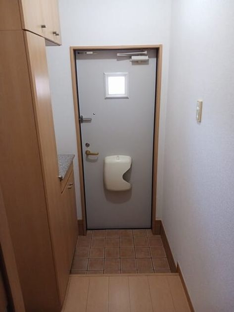 Naikan5 20250730000000 945x630