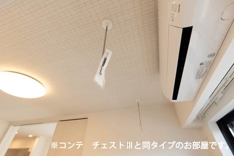 Naikan11 20260520000000