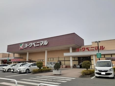 Naikan16 20231215000000