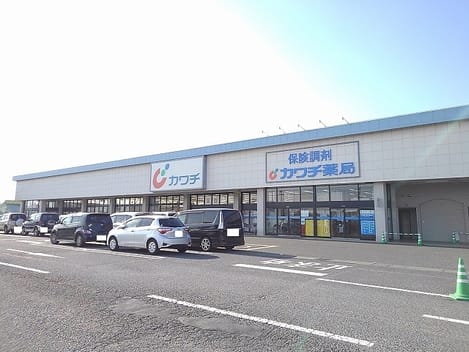 Naikan13 20210421000000