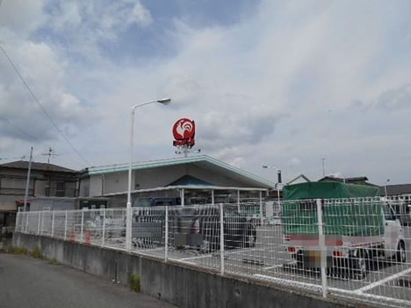 Naikan13 20260512000000 945x630