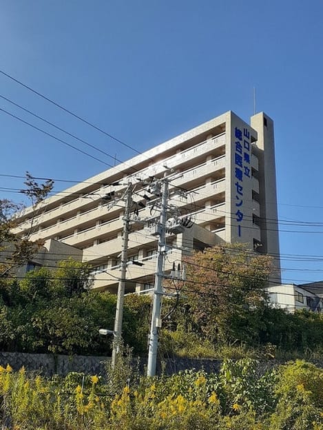 Naikan17 20260625000000