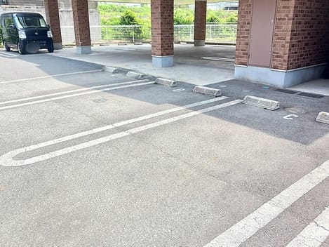 Naikan11 20260630000000