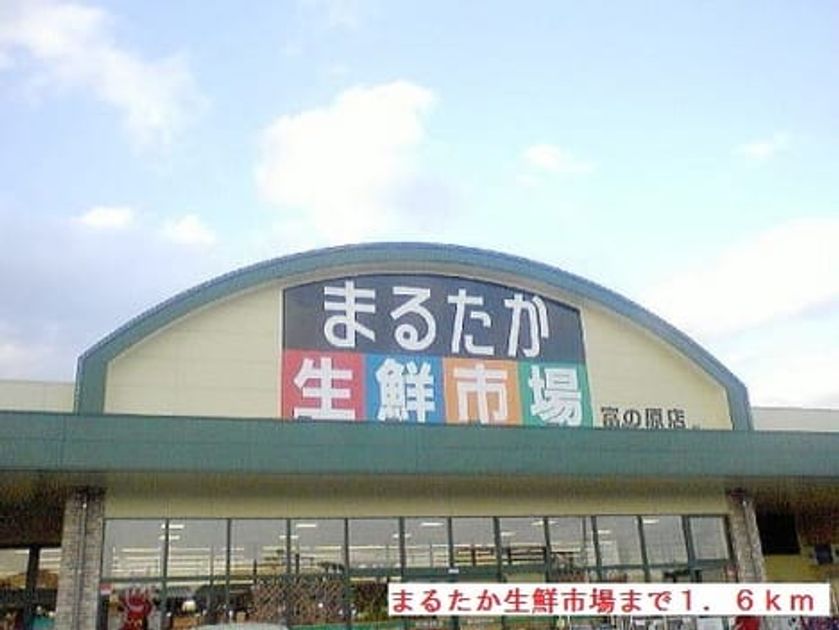 Naikan14 20191116000000 945x630
