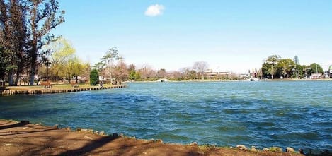 Naikan17 20260707000000