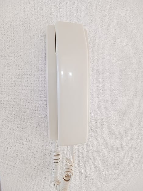 Naikan8 20260910000000