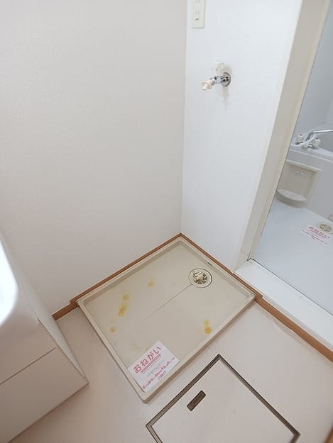 Naikan11 20260827000000