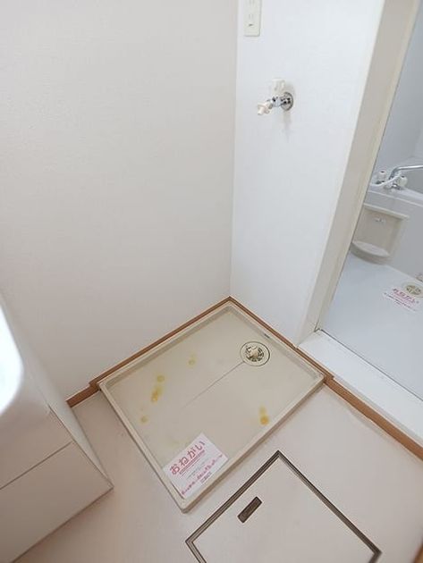 Naikan11 20260827000000 945x630