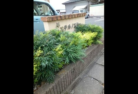 Naikan10 20200626000000
