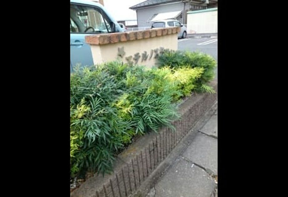 Naikan10 20200626000000 945x630