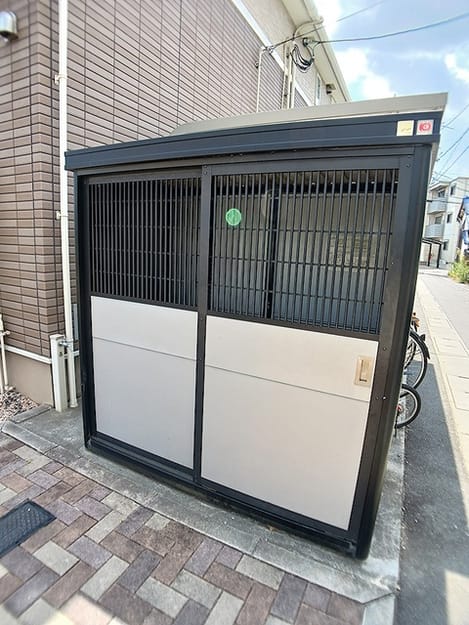 Naikan11 20260819000000