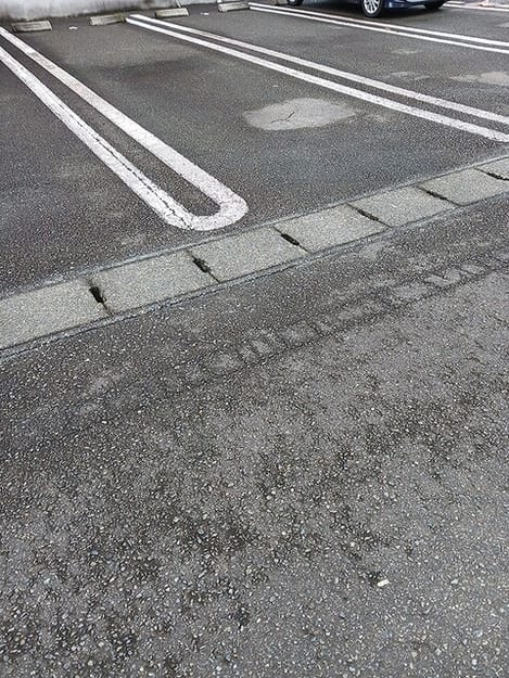 Naikan11 20260909000000