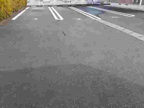 Naikan10 20241205000000