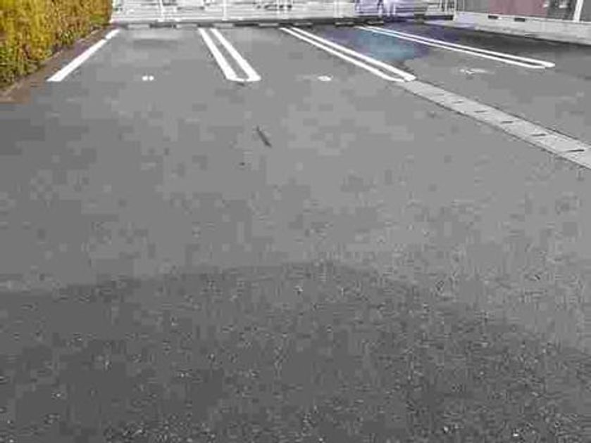 Naikan10 20241205000000 945x630