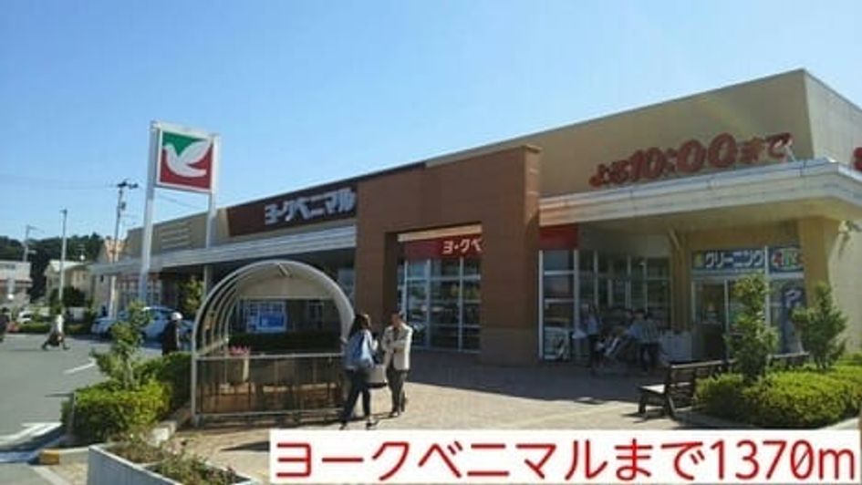 Naikan15 20260807000000 945x630