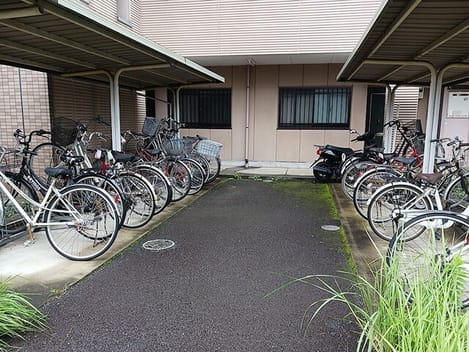 Naikan11 20260915000000