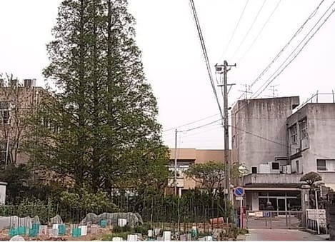 Naikan14 20241008000000