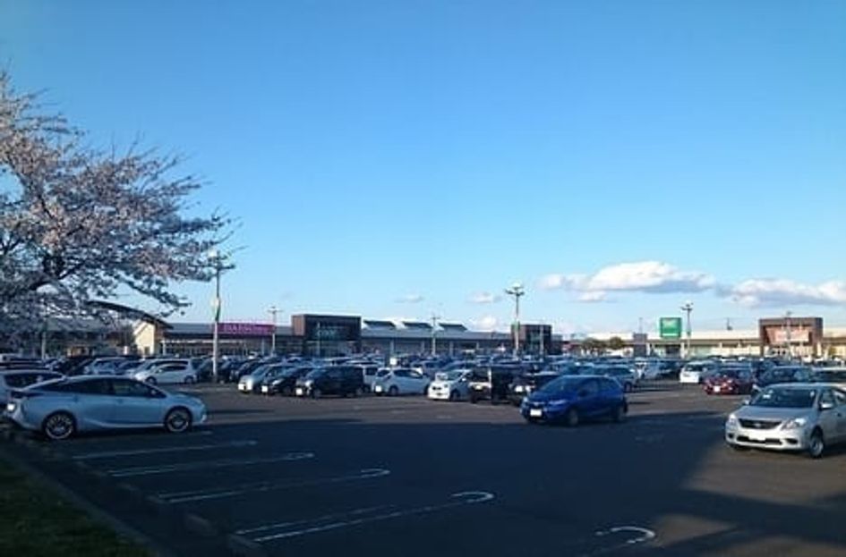 Naikan18 20230201000000 945x630