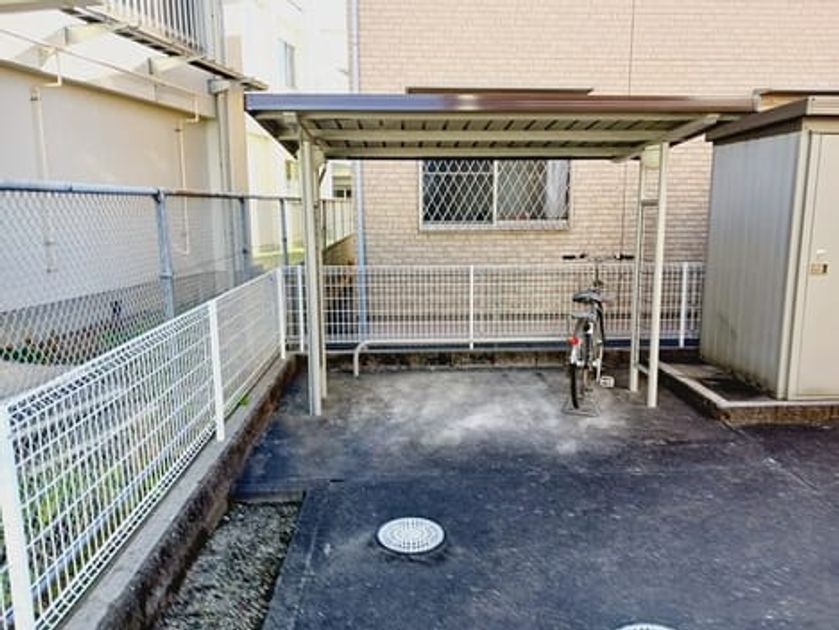 Naikan11 20251222000000 945x630