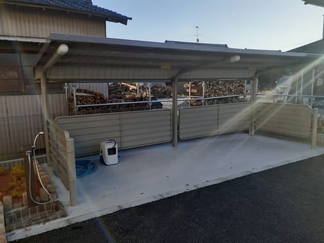 Naikan10 20240112000000