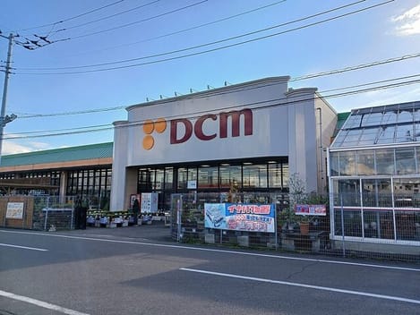 Naikan16 20260805000000