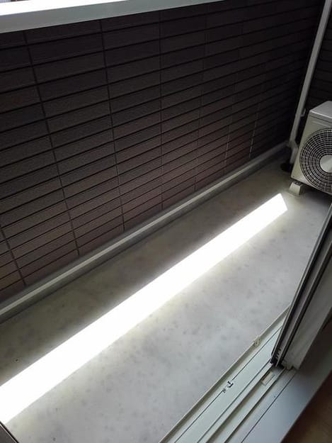 Naikan10 20190808000000