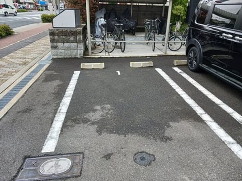 Naikan11 20250423000000 945x630