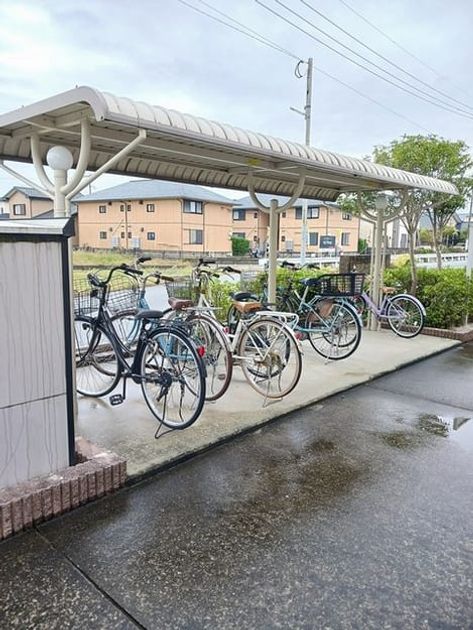 Naikan9 20260130000000 945x630