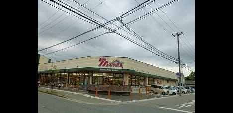 Naikan13 20251029000000