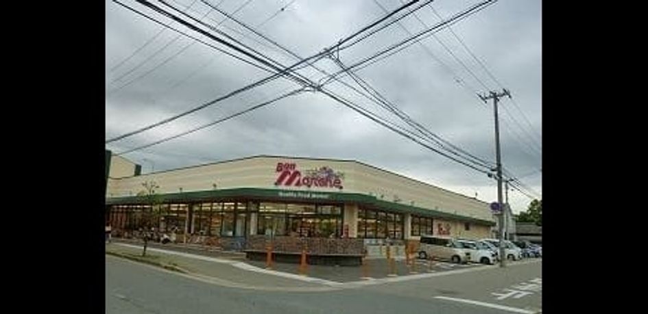 Naikan13 20251029000000 945x630