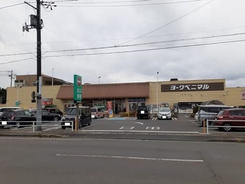 Naikan14 20240227000000 945x630