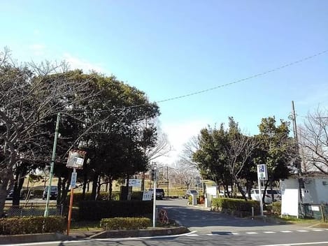 Naikan16 20200406000000