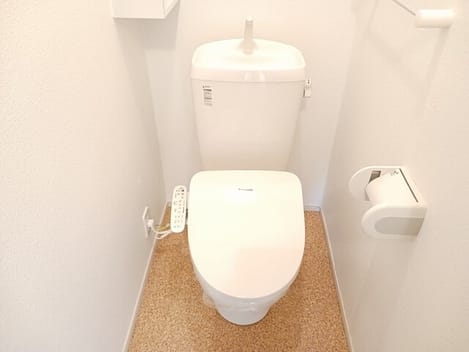 Naikan9 20250227000000