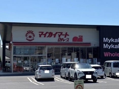Naikan13 20250709000000