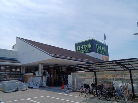 Naikan17 20240201000000