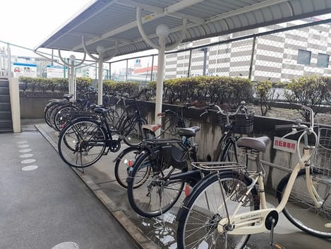 Naikan11 20240306000000