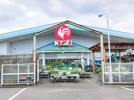Naikan13 20260511000000